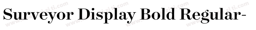 Surveyor Display Bold Regular字体转换
